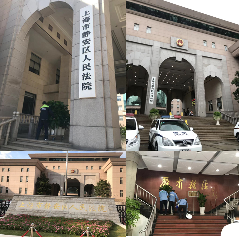 靜安法院院區(qū)室內(nèi)外綠化項(xiàng)目-上海雅騰綠化有限公司